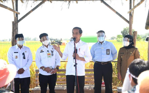 Kunker ke Indramayu, Jokowi: Kita Stop Impor Beras hingga Juni